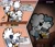 Size: 2048x1744 | Tagged: safe, artist:jkai24_, lanolin the sheep, tangle the lemur, lemur, sheep, coffee, comic, duo, female, frown, glaring, grumpy, head tilt, looking at each other, looking at them, smile, smiling at them
