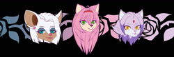 Size: 1280x427 | Tagged: safe, artist:infestedwraith, amy rose, blaze the cat, rouge the bat