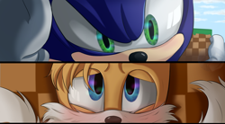 Size: 3000x1660 | Tagged: safe, artist:creepypastera1, miles "tails" prower, sonic the hedgehog, green hill zone, 2020, absurd res, aged up, blushing, brown nose, clouds, daytime, duo, gay, looking at each other, loop, orange brown checkerboard, outdoors, pinning them, shipping, sonic x tails