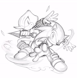 Size: 2012x2048 | Tagged: safe, artist:yeboiicj, espio the chameleon, sonic the hedgehog, hedgehog, 2026, chameleon, duo, frown, holding something, kunai knife, line art, looking at viewer, male, monochrome, posing, simple background, smile, weapon, white background
