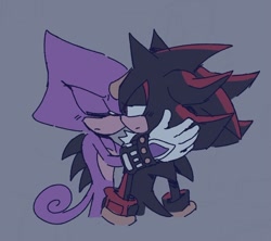 Size: 904x803 | Tagged: safe, artist:aleespace-art, espio the chameleon, shadow the hedgehog, 2026, duo, eyes closed, flat colors, frown, gay, grey background, holding them, looking at them, shadpio, simple background, standing