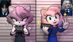 Size: 1280x735 | Tagged: safe, artist:cinnaluu, amy rose, blaze the cat, cat, hedgehog, amy x blaze, barbie movie, barbie mugshot meme, cosplay, enid sinclair, female, lesbian, meme, mugshot, shipping, skirt, the addams family, wednesday (series), wednesday addams