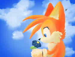 Size: 1280x977 | Tagged: safe, artist:thebeamerut, miles "tails" prower, fox, 2026, clouds, flower, holding something, lineless, looking at something, male, signature, solo