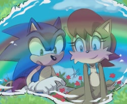 Size: 1751x1430 | Tagged: safe, artist:angiethecat, sally acorn, sonic the hedgehog, chipmunk, hedgehog, 2026, daytime, duo, female, flower, grass, looking at something, male, open mouth, plant, puddle, rainbow, reflection, sally x sonic, sally's vest and boots, shipping, sitting, smile, straight, water