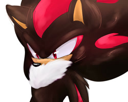 Size: 1024x820 | Tagged: safe, artist:frickiebrownie, shadow the hedgehog, hedgehog, 2017, chest fluff, looking down, male, simple background, solo, white background