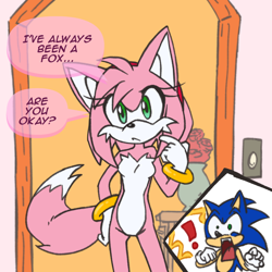 Size: 1100x1100 | Tagged: safe, artist:lunar-lotus, amy rose, sonic the hedgehog, fox, hedgehog, 2025, dialogue, doorway, duo, english text, exclamation mark, female, flat colors, flower, frown, light switch, looking at them, looking at viewer, male, mouth open, rose, shocked, shrunken pupils, solo focus, species swap, speech bubble, standing, text, vase