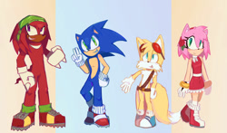 Size: 1280x751 | Tagged: safe, artist:sparklyg30d3, amy rose, knuckles the echidna, miles "tails" prower, sonic the hedgehog, echidna, fox, hedgehog, 2026, belt, blue shoes, boots, clenched fists, clenched teeth, clothes, dark skin, dress, female, flower, flower in ear, gloves, goggles, group, headscarf, male, rose, scarf, shoes, smile, socks, v sign