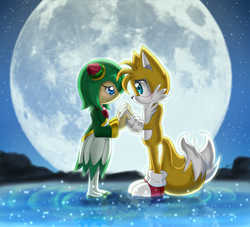 Size: 1000x906 | Tagged: safe, artist:undertaker62, cosmo the seedrian, miles "tails" prower, fox, seedrian, sonic x, 2011, backlighting, blushing, duo, female, holding hands, looking at each other, male, moon, nighttime, outdoors, reflection, shipping, smile, smiling at each other, star (sky), straight, tailsmo, water