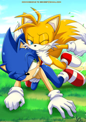 Size: 1024x1447 | Tagged: suggestive, artist:bbmbbf, miles "tails" prower, sonic the hedgehog, fox, hedgehog, 2014, all fours, blushing, daytime, duo, flying, gay, grass, grass blade, lidded eyes, looking at them, looking at viewer, male, mid-air, one eye closed, outdoors, shipping, smile, sonic x tails, spinning tails