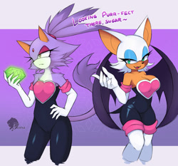 Size: 2000x1863 | Tagged: safe, artist:skyversa, blaze the cat, rouge the bat, rouge's heart top