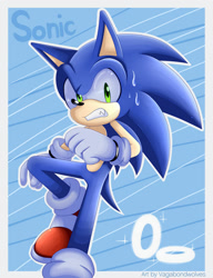 Size: 1024x1332 | Tagged: safe, artist:vagabondwolves, sonic the hedgehog, hedgehog, 2016, border, character name, clenched teeth, english text, frown, gloves, looking at viewer, male, outline, ring, shoes, socks, solo, sparkles, sweatdrop, text