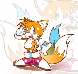 Size: 2048x1947 | Tagged: safe, artist:soihanp, miles "tails" prower