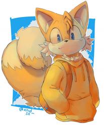 Size: 1280x1545 | Tagged: safe, artist:xndsa, miles "tails" prower, fox, 2023, backpack, clothes, clouds, hands in pocket, hoodie, looking at viewer, male, signature, smile, smiling at viewer, solo, solo male, standing, tail fluff, twisted tails