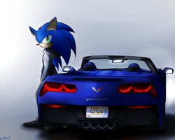 Size: 1500x1200 | Tagged: safe, artist:endjfcar, sonic the hedgehog, hedgehog, 2015, car, chevrolet, chevrolet corvette, clothes, corvette c7, english text, fully clothed, hoodie, leaning on something, looking at viewer, male, pants, roadster, simple background, solo, sport car, standing, vehicle
