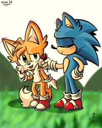 Size: 1634x2048 | Tagged: safe, artist:tenma_va, miles "tails" prower, sonic the hedgehog, fox, hedgehog, 2026, blushing, blushing ears, chest fluff, cute, daytime, duo, ear fluff, eyes closed, flower, gay, grass, holding something, male, offering flower, outdoors, shipping, signature, smile, sonabetes, sonic x tails, tailabetes