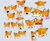 Size: 1200x992 | Tagged: safe, artist:sonicalter, miles "tails" prower, fox, 2023, angry, clenched teeth, ear fluff, exasperated, expression sheet, eyes closed, eyewear on head, floppy ears, frown, fur markings, goggles, goggles on head, grey background, happy, head only, lidded eyes, male, mouth open, redesign, sad, simple background, smile, smug, solo, surprised, yawning, yelling