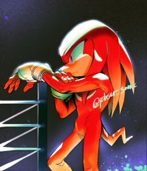 Size: 1442x1675 | Tagged: safe, artist:panhaley54803, knuckles the echidna, alternate gloves, fingerless gloves, signature, solo, standing