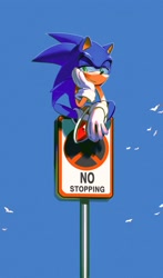 Size: 1789x3040 | Tagged: safe, artist:panhaley54803, sonic the hedgehog, bird, daytime, english text, head rest, lidded eyes, literal animal, outdoors, road sign, sign, sitting, smile, solo
