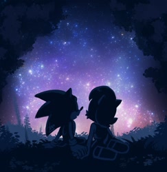 Size: 2073x2133 | Tagged: safe, artist:angiethecat, sally acorn, sonic the hedgehog, chipmunk, hedgehog, 2026, duo, female, forest, looking at star, looking up, male, nature, nebula, nighttime, outdoors, plant, sally x sonic, sally's vest and boots, shipping, sitting, star (sky), stargazing, straight, tree