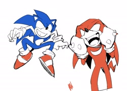 Size: 1446x1044 | Tagged: safe, artist:panhaley54803, knuckles the echidna, sonic the hedgehog, 2024, duo, grin, mouth open, simple background, smile, standing, white background