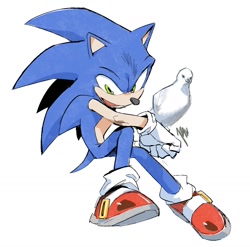 Size: 1289x1276 | Tagged: safe, artist:panhaley54803, sonic the hedgehog, bird, 2024, dove, literal animal, mouth open, simple background, sitting, smile, solo, white background