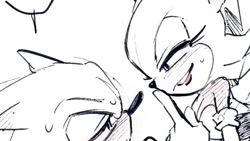 Size: 656x369 | Tagged: suggestive, artist:panhaley54803, sonic the hedgehog, blushing, cropped, duo, hand on another's face, lidded eyes, looking at each other, looking at them, monochrome, rouge x sonic, shipping, simple background, sketch, smile, spot color, straight, sweat, white background