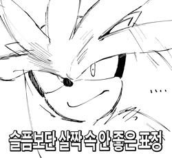 Size: 1367x1260 | Tagged: safe, artist:panhaley54803, silver the hedgehog, 2024, greyscale, korean text, monochrome, simple background, sketch, solo, white background