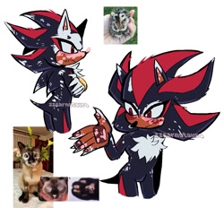 Size: 1243x1153 | Tagged: safe, artist:zzcarnotauro, shadow the hedgehog, hedgehog, 2026, arms folded, blushing, chest fluff, claws, duality, eyelashes, frown, gloves, gloves off, looking offscreen, male, one fang, pawpads, reference inset, signature, simple background, solo, standing, vitiligo, watermark, white background