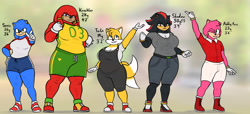Size: 5250x2400 | Tagged: safe, artist:oystercatcher7, amy rose, knuckles the echidna, miles "tails" prower, shadow the hedgehog, sonic the hedgehog, gender swap