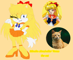 Size: 984x812 | Tagged: safe, artist:moonsonic1, cat, bow, bowtie, clothes, female, hair bow, irl, magical girl, minako aino, mobianified, sailor moon, skirt, solo, wink