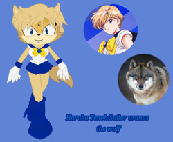 Size: 985x811 | Tagged: safe, artist:moonsonic1, wolf, bow, bowtie, clothes, female, haruka tenoh, irl, magical girl, mobianified, sailor moon, skirt, solo