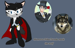 Size: 1118x715 | Tagged: safe, artist:moonsonic1, wolf, bow, bowtie, cape, clothes, glasses, irl, male, mamoru chiba, mobianified, sailor moon, solo, suit