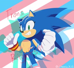 Size: 2048x1890 | Tagged: safe, artist:xtc_0o, sonic the hedgehog, hedgehog, 2023, english text, eyelashes, gloves, looking at viewer, male, no outlines, positivity, pride, pride flag, pride flag background, pride month, scar, single glove, single sock, single thighhigh, smile, socks, solo, standing, text, top surgery scars, trans boy sonic, trans male, trans pride, trans rights, transgender