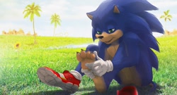 Size: 1280x692 | Tagged: safe, artist:zen, sonic the hedgehog, hedgehog, 2019, barefoot, daytime, fangs, fetish, field, flower, foot fetish, gloves, grass, holding something, lidded eyes, lineless, looking at something, mouth open, open smile, outdoors, palm tree, shoes, sitting, smile, socks, sunflower, tree