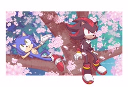 Size: 3293x2226 | Tagged: safe, artist:marimo838, shadow the hedgehog, sonic the hedgehog, border, daytime, duo, flower, frown, outdoors, plant, shadow (lighting), sitting, smile, tree, white border