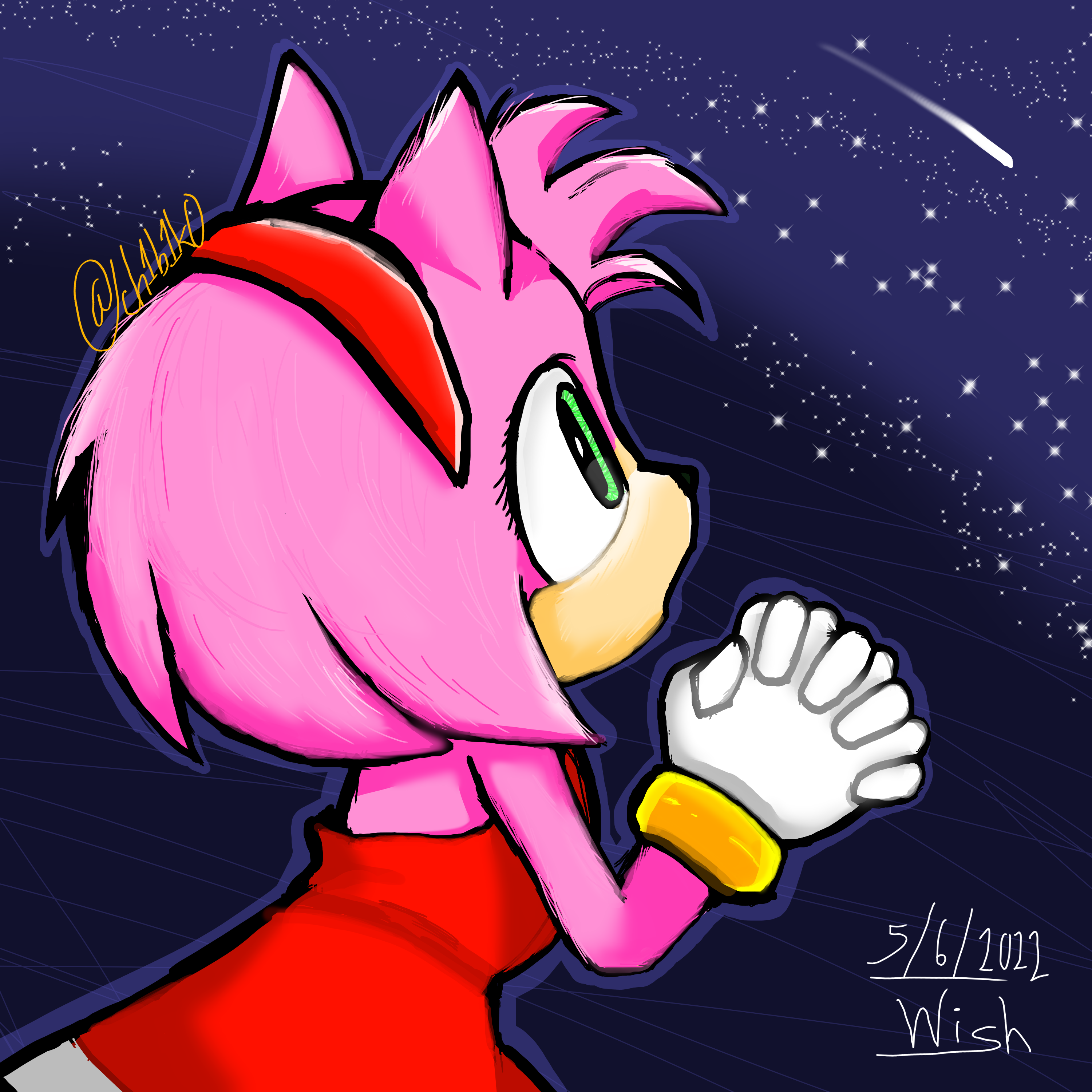 230441 - safe, artist:butterrrmoth, amy rose (sonic), sonic the