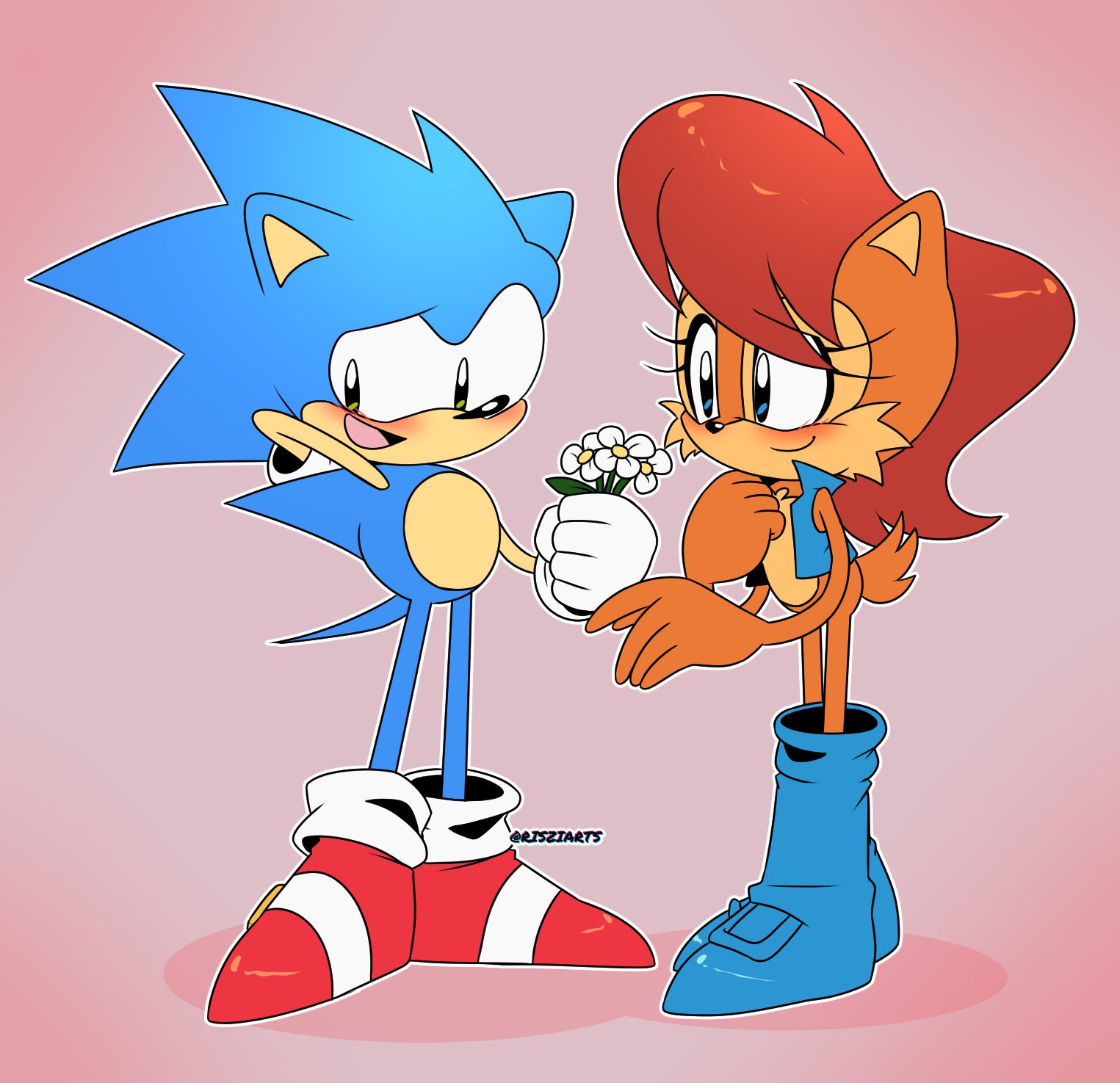 8865 Safe Artistrisziarts Sally Acorn Sonic The Hedgehog Blushing Duo Shipping 7265