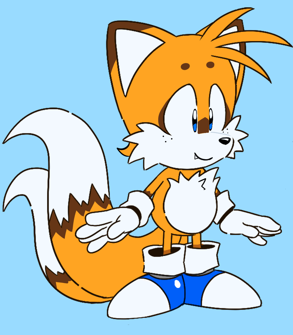 11862 Safe Artisthomophobic Sonic Miles Tails Prower Fox